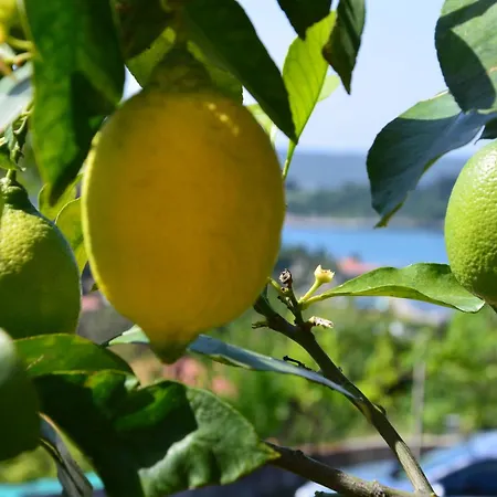 Appartamento Ostanek *