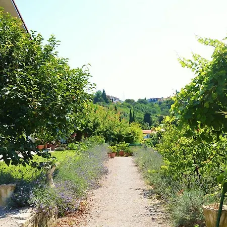 Appartamento Ostanek