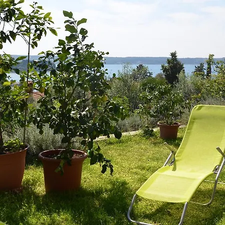 Appartamento Ostanek
