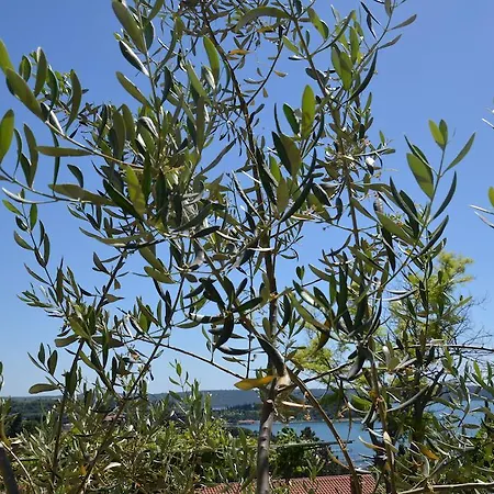 Appartamento Ostanek Portorose