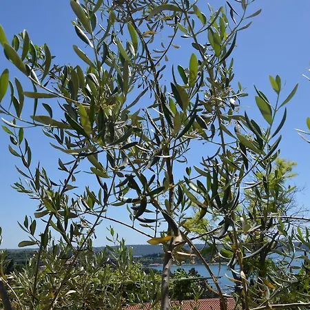 Appartamento Ostanek Portorose