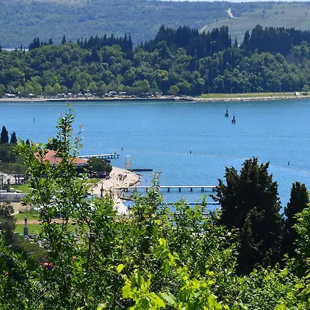 Ostanek