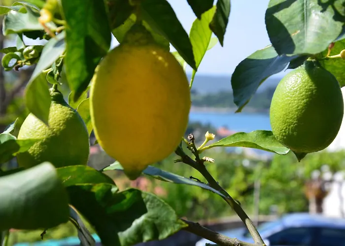 Appartamento Ostanek *