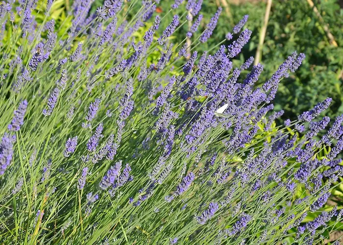 Apartamento Ostanek Portorož