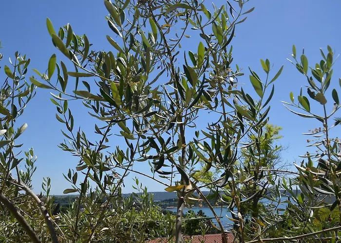 Appartamento Ostanek Portorose